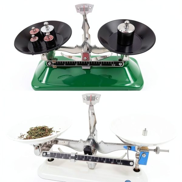 Calibration Weight Set 1000g Case and Tweezers by HFS M2 Class 8pcs-5